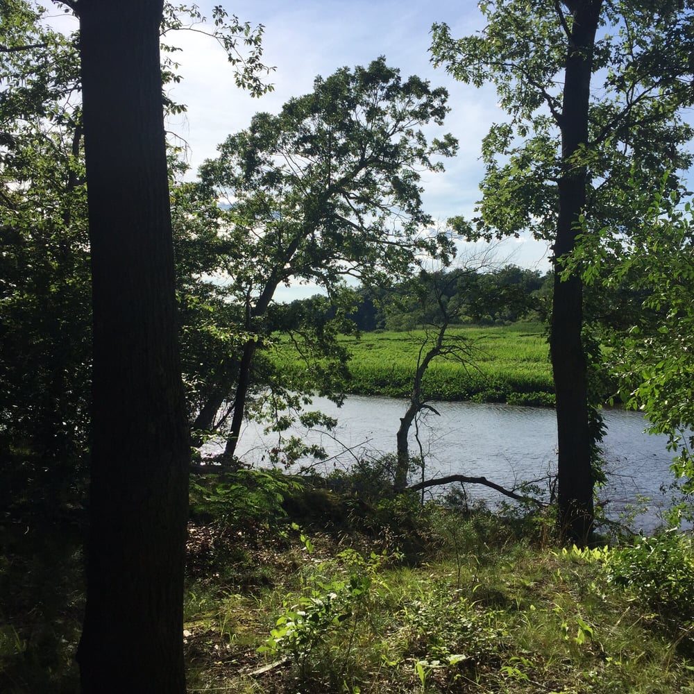 Rancocas State Park 2